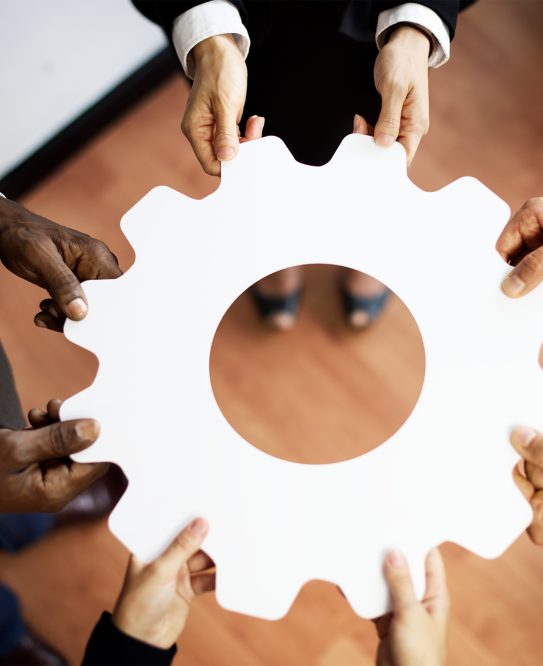 diverse-business-colle
